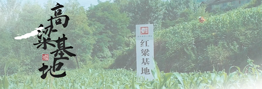 Fه(li)FɽƘI(y)؟(z)ι˾