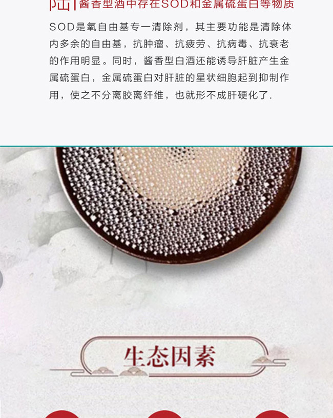 ɽTС≯ u͡53 500ml