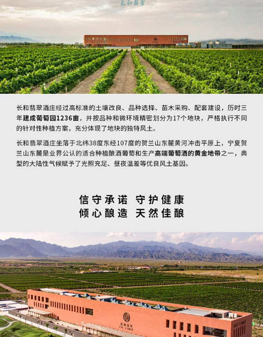 �L�����GOGOPANDARTâ�N2018Ʒ����ɼt���Ѿ�750ml