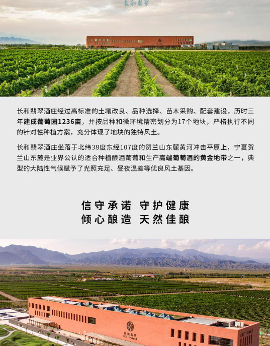 �L�����GOGOPANDART����2019�Ҽt���Ѿ�750ml