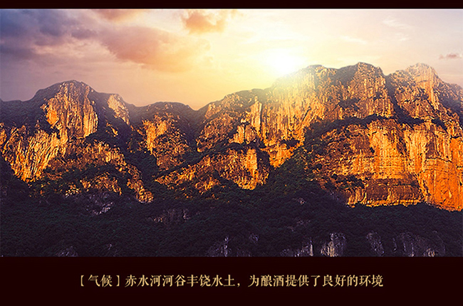 習酒貴源鑒賞級 醬香型白酒【53° 500ml】