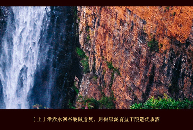 習酒貴源鑒賞級 醬香型白酒【53° 500ml】