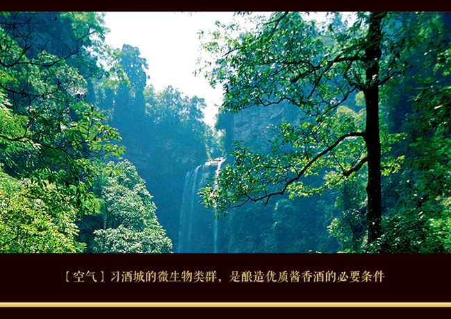 習酒貴源鑒賞級 醬香型白酒【53° 500ml】