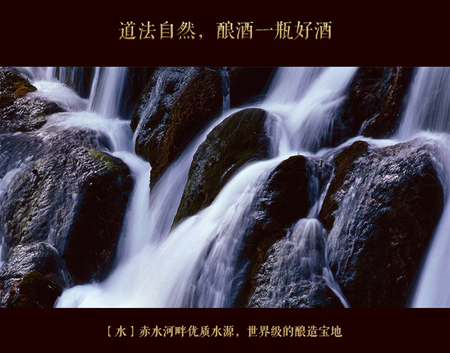 習酒貴源收藏級 醬香型白酒【53° 500ml】