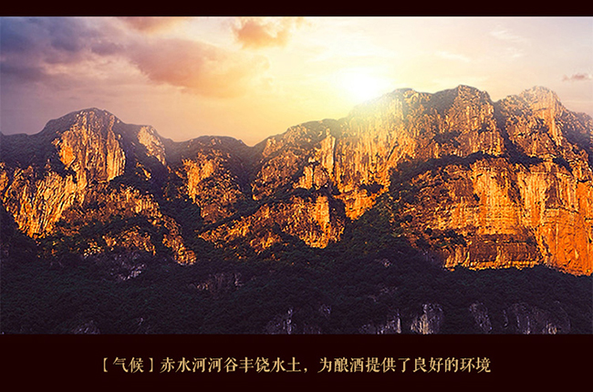 習酒貴源收藏級 醬香型白酒【53° 500ml】