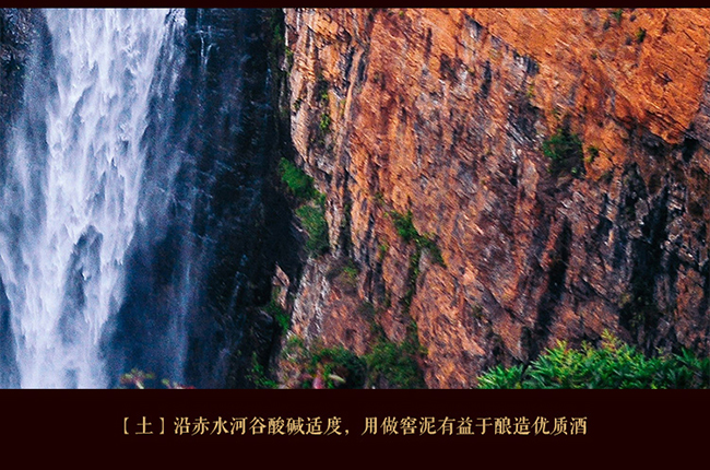 習酒貴源收藏級 醬香型白酒【53° 500ml】