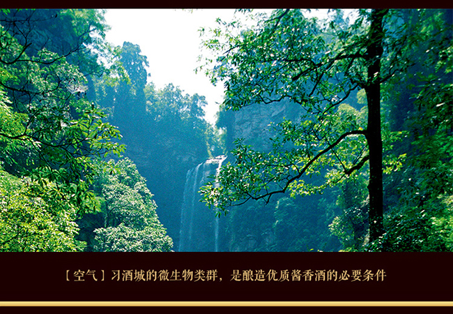 習酒貴源收藏級 醬香型白酒【53° 500ml】