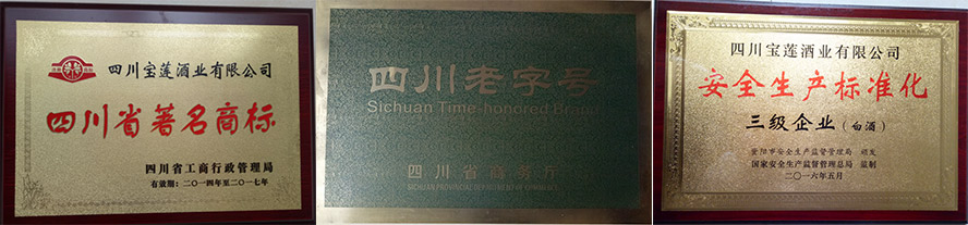 山東齊國盛世酒業(yè)釀造有限公司