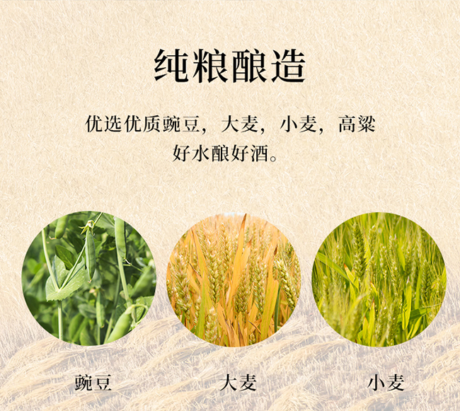 白水杜康酒漢唐酒窖A88 濃香型白酒【52度 500ml】