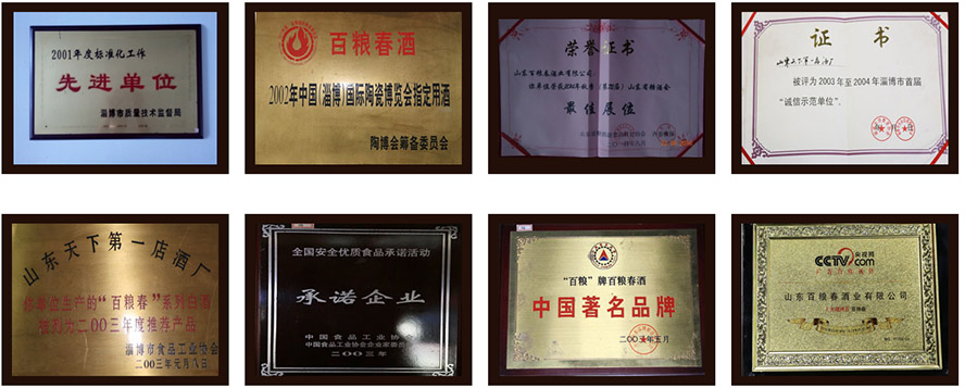 山東百糧春酒業有限公司