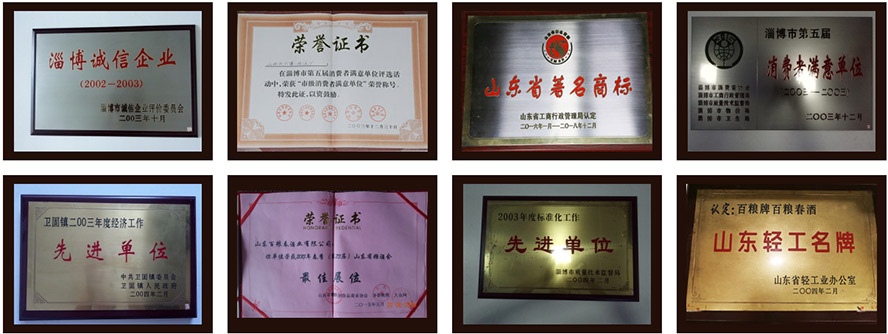 山東百糧春酒業有限公司