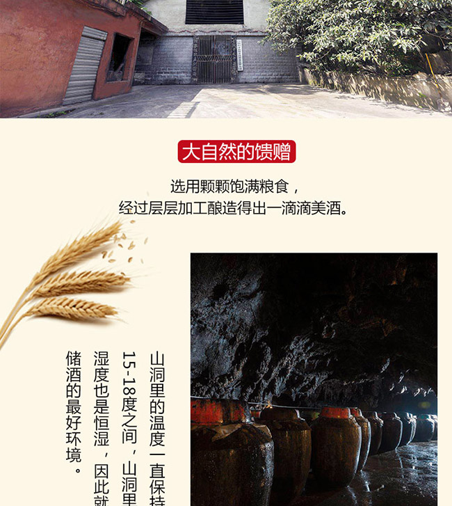 洞府醇酒陳釀10