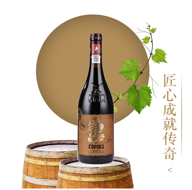 ���Dĥ���ɼt���Ѿ�