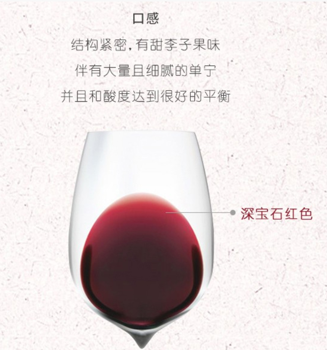 伯魯克大師葡園干紅葡萄酒