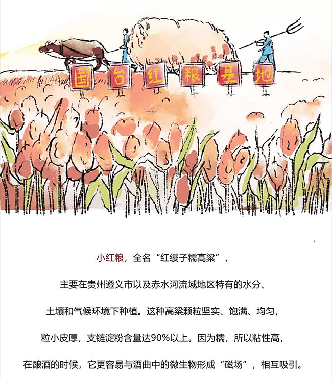 ���_�u�� �u���Ͱ׾ơ�53�� 500ml��