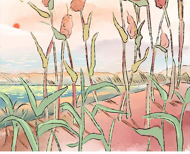 ���_�u�� �u���Ͱ׾ơ�53�� 500ml��