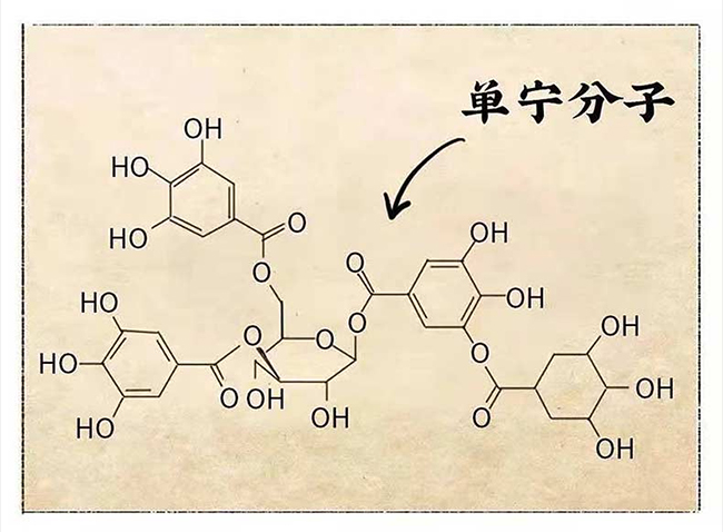 ���_�u�� �u���Ͱ׾ơ�53�� 500ml��