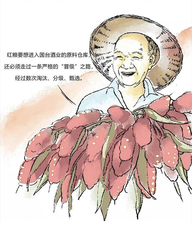 ���_�u�� �u���Ͱ׾ơ�53�� 500ml��