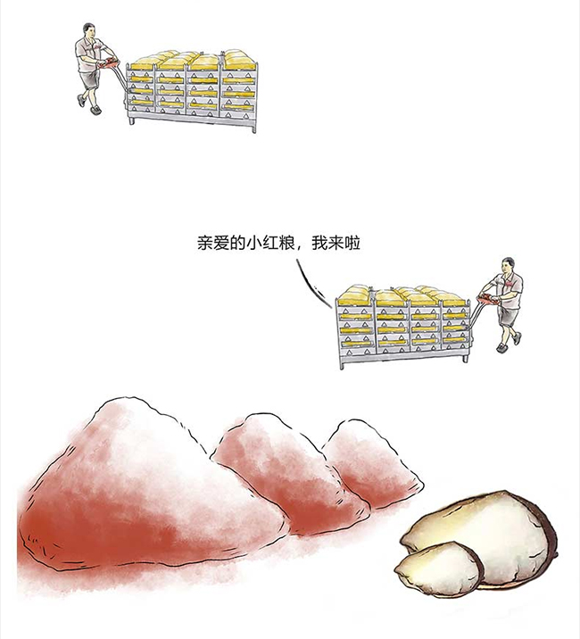 ���_�u�� �u���Ͱ׾ơ�53�� 500ml��