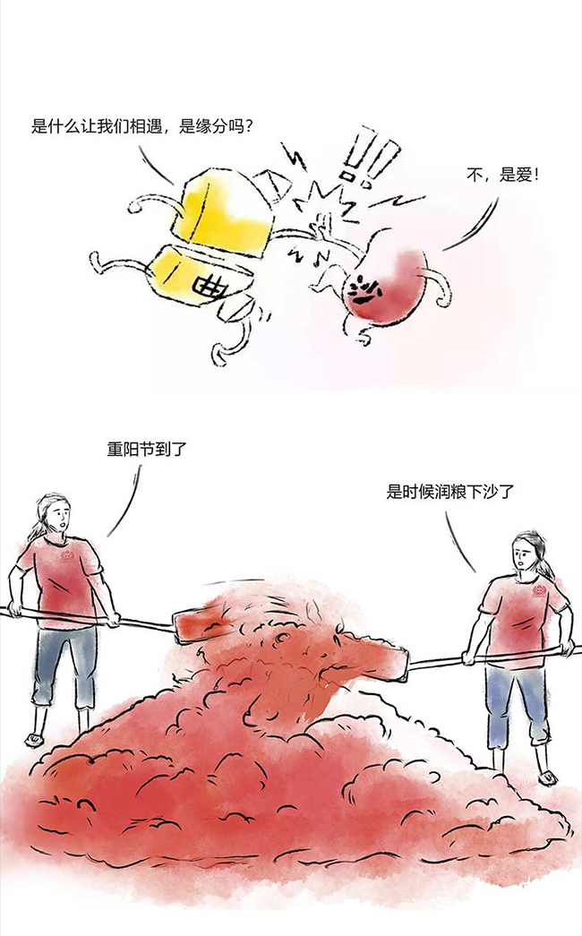 ���_�u�� �u���Ͱ׾ơ�53�� 500ml��