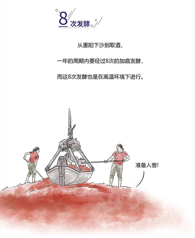 ���_�u�� �u���Ͱ׾ơ�53�� 500ml��