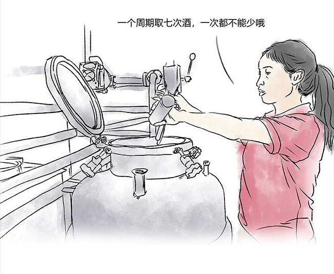 ���_�u�� �u���Ͱ׾ơ�53�� 500ml��