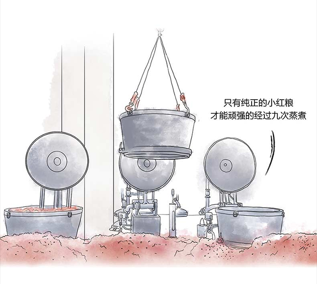 ���_�u�� �u���Ͱ׾ơ�53�� 500ml��