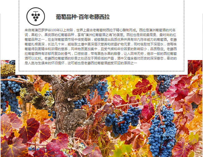 Ʒ��:�ղؼҼt���Ѿ�