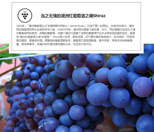 Ʒ��:�ꠖ��С��܇�t���Ѿ�