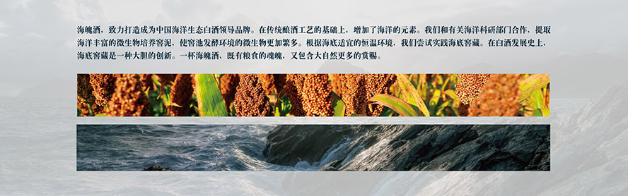 江蘇海魄酒業(yè)股份有限公司