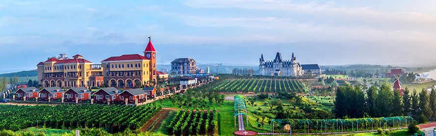 �_�������F���޹�˾