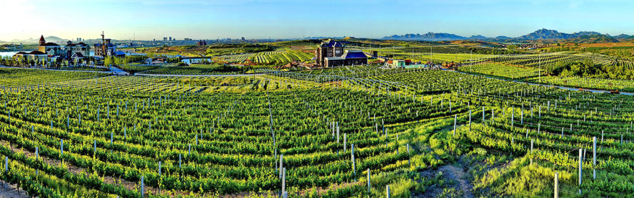 �_�������F���޹�˾