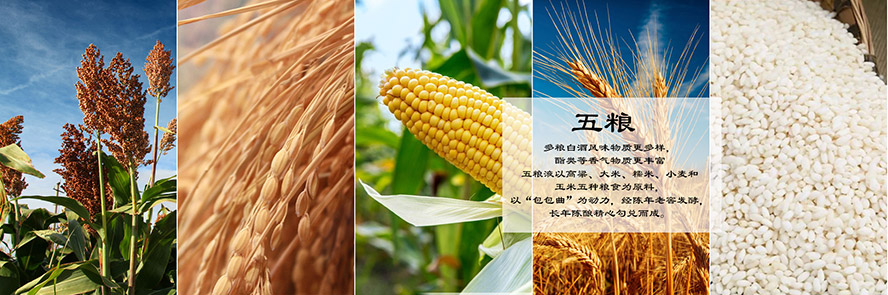 ���eζ�����ƘI���޹�˾