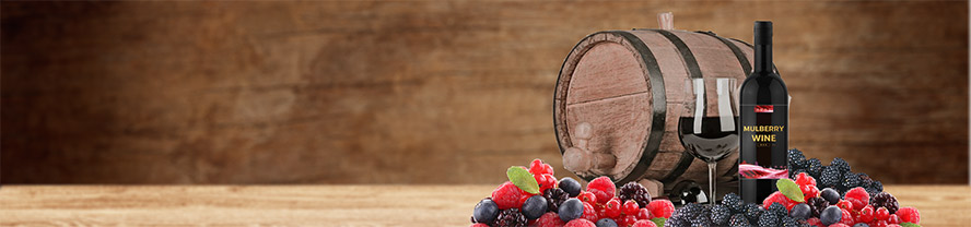 一陽生(廈門)釀酒有限公司