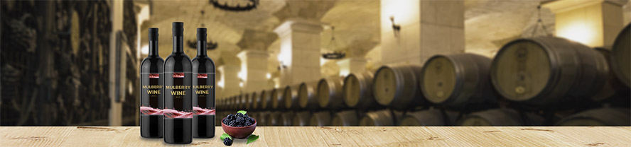 一陽生(廈門)釀酒有限公司