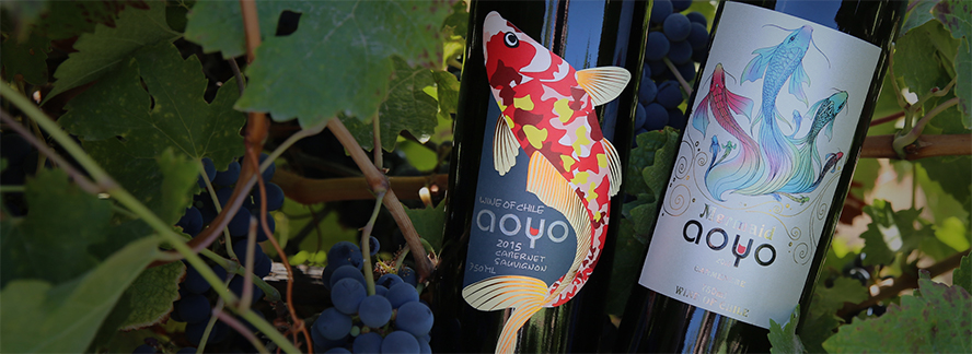 �V���ϰ��Q�����޹�˾