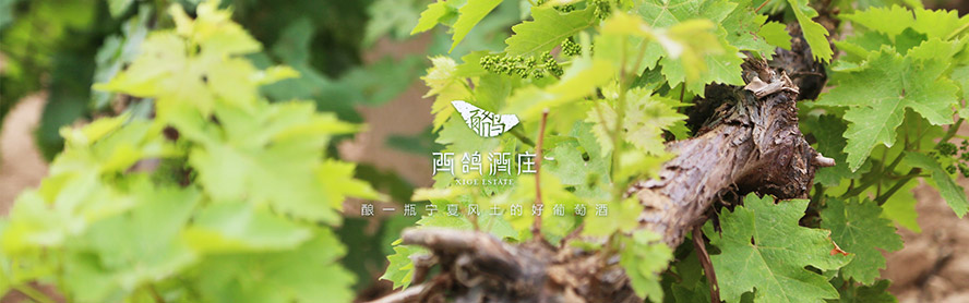 �����������f���޹�˾