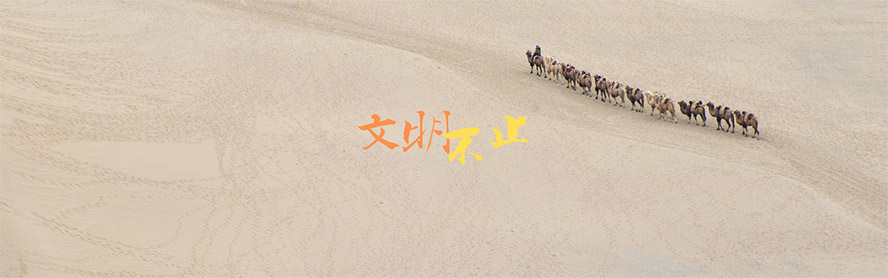 ���h�оƏS���޹�˾