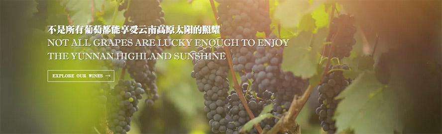 ���ϼt�ƘI���F���޹�˾