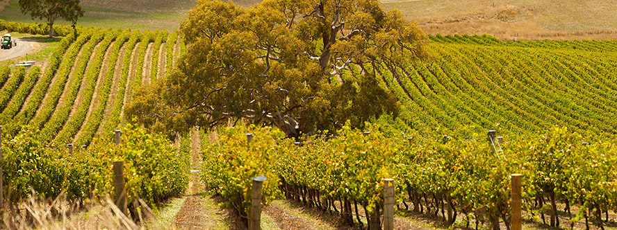 ���u���|���H�Q�����޹�˾