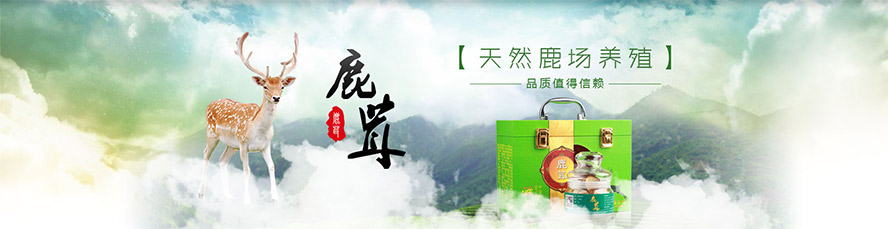 ɽ�����S¹�I���޹�˾