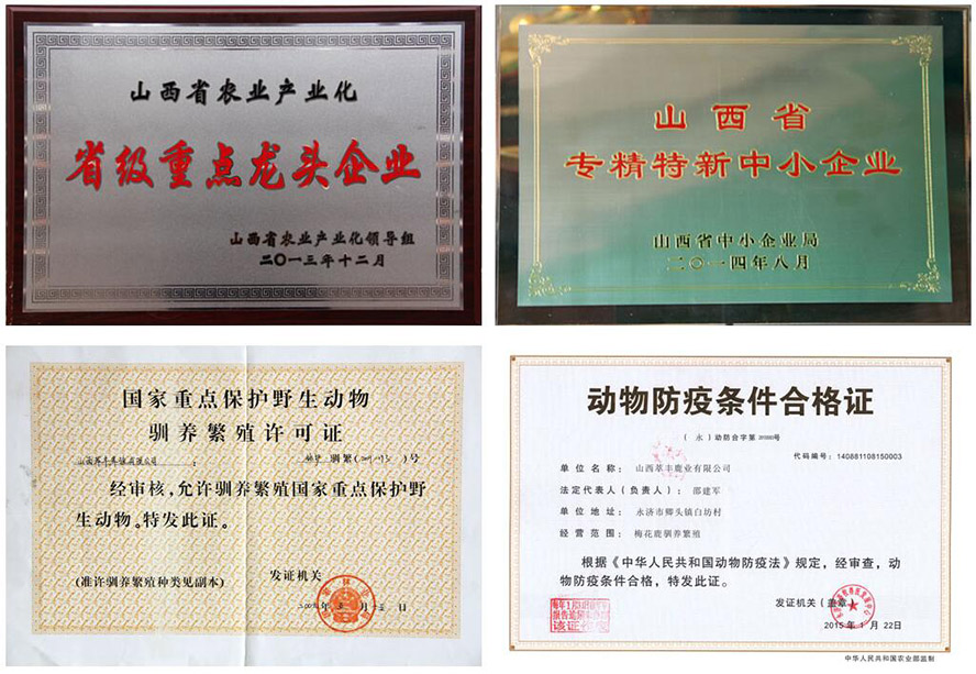 ɽ�����S¹�I���޹�˾