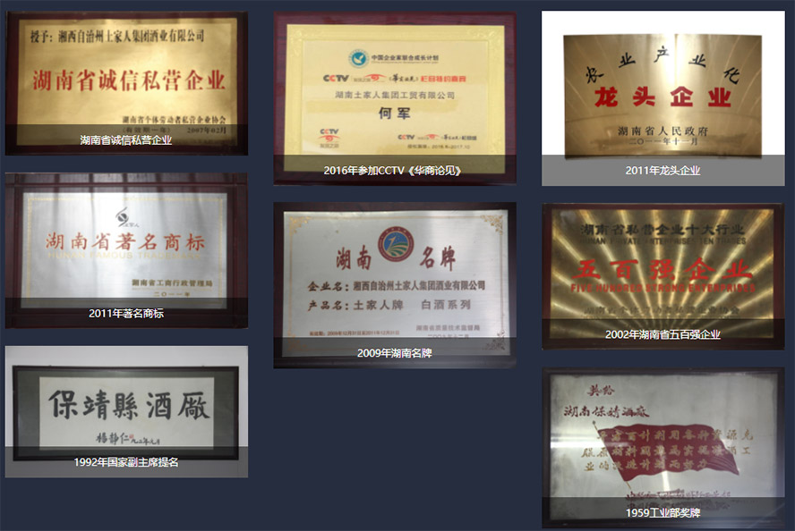 ���������˼��F�ƘI���޹�˾��