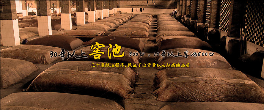 瀘州鼎信酒業有限公司