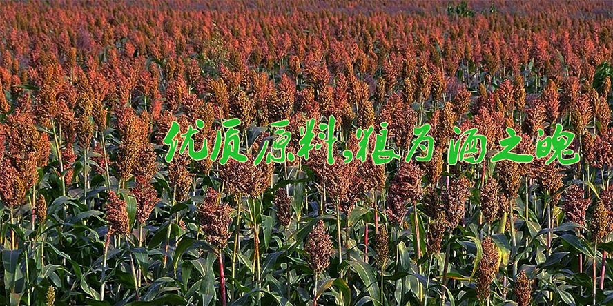 ����������˹�к��U�_ᄾ����޹�˾��̎�������K�������ԭ����һ�Ҳ��ü��Z�̑B�l�ͼ��g��������Ͱ׾ƵĬF�������a��I����˾�ɶ�����˹�О��mú̿�����F)����؟�ι�˾��2008��Ͷ�Y�d��,�S�^ռ����e20���fƽ���ף���a���|�����Ͱ׾�800������Ͷ�Y�~�_1.7�|Ԫ����˾���a�O�侫��,���g���M������25�����I���g�ˆT�����а������Ұ׾��uί1�������΅^�׾��uί3��һ��Ʒ�Ǝ�2��������Ʒ�Ǝ�2��,����Ʒ�Ǝ�7����