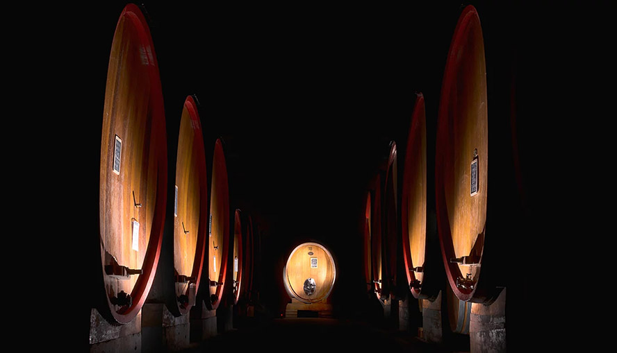     �V�|�ĺ������M�������޹�˾