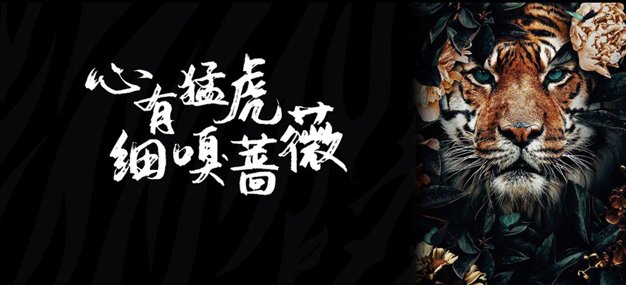     ���Ļ�ޱ���f���޹�˾���aƷ�������С�