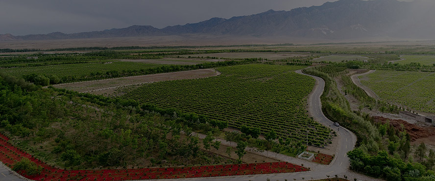     ����־�xԴʯ���Ѿ��f���޹�˾���aƷ�������С�