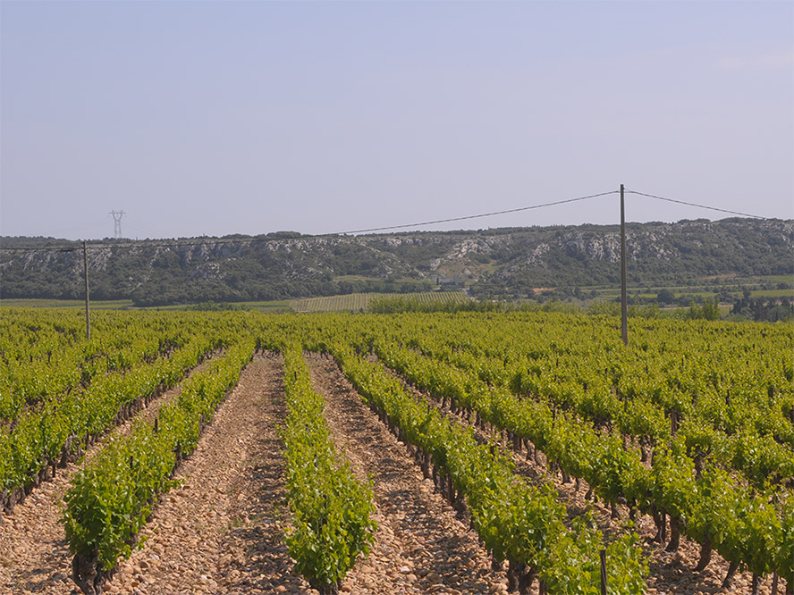     �B�T���D˹�M�������޹�˾���aƷ�������С�