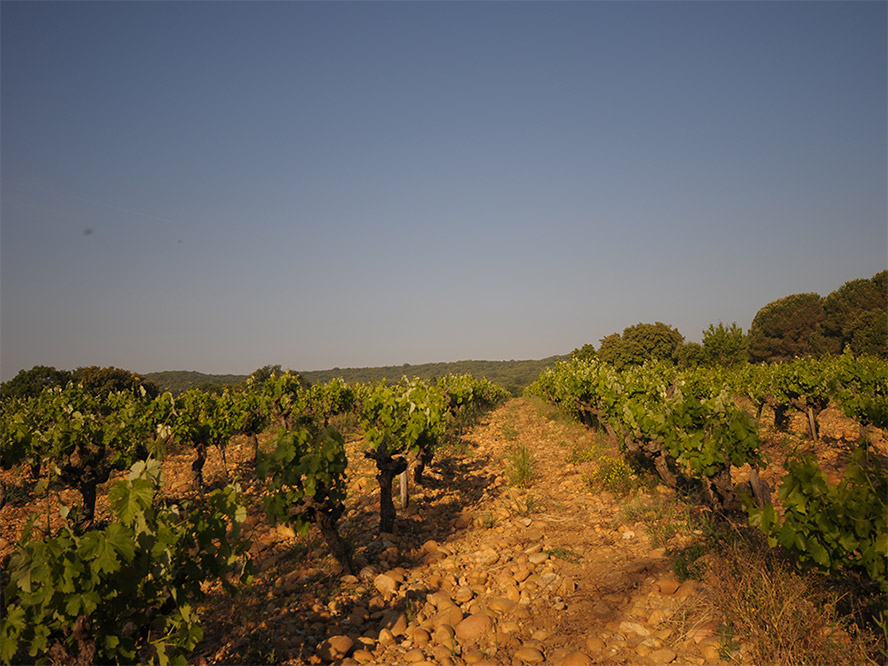     �B�T���D˹�M�������޹�˾���aƷ�������С�